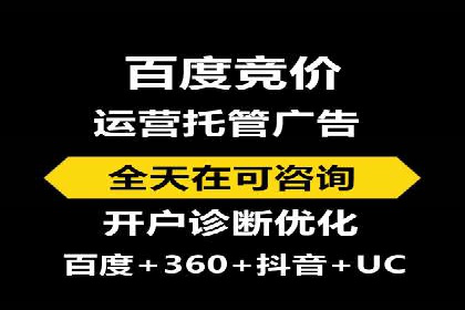 行业报告：专业SEM托管的成功实践与挑战